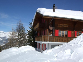 Ferienhaus Bergfreund